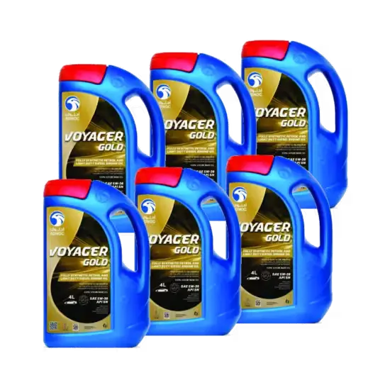 vogayer2-550x550